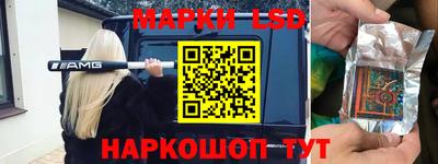 гидра Будённовск
