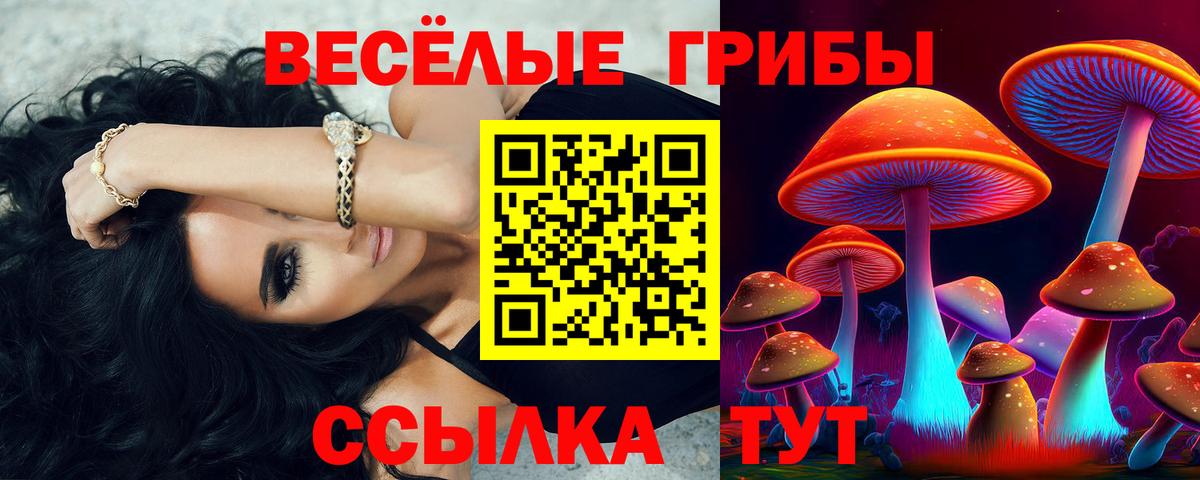 Мариинск  как найти закладки  Вход с VPN  Галлюциногенные грибы мицелий 