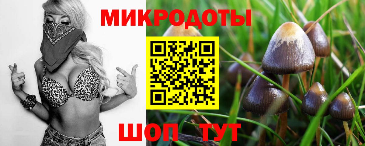 Галлюциногенные грибы Psilocybe Мариинск